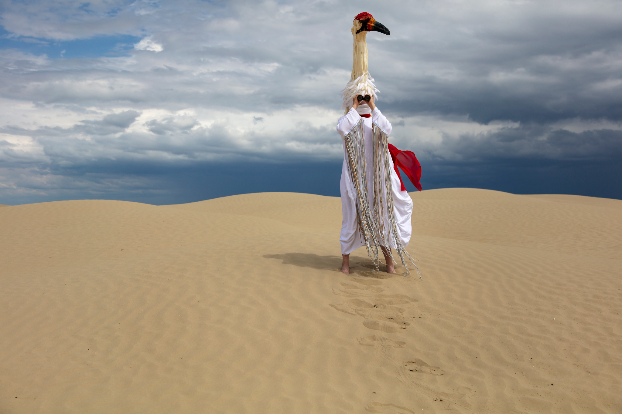 Cartography of the Unseen by Meryl McMaster